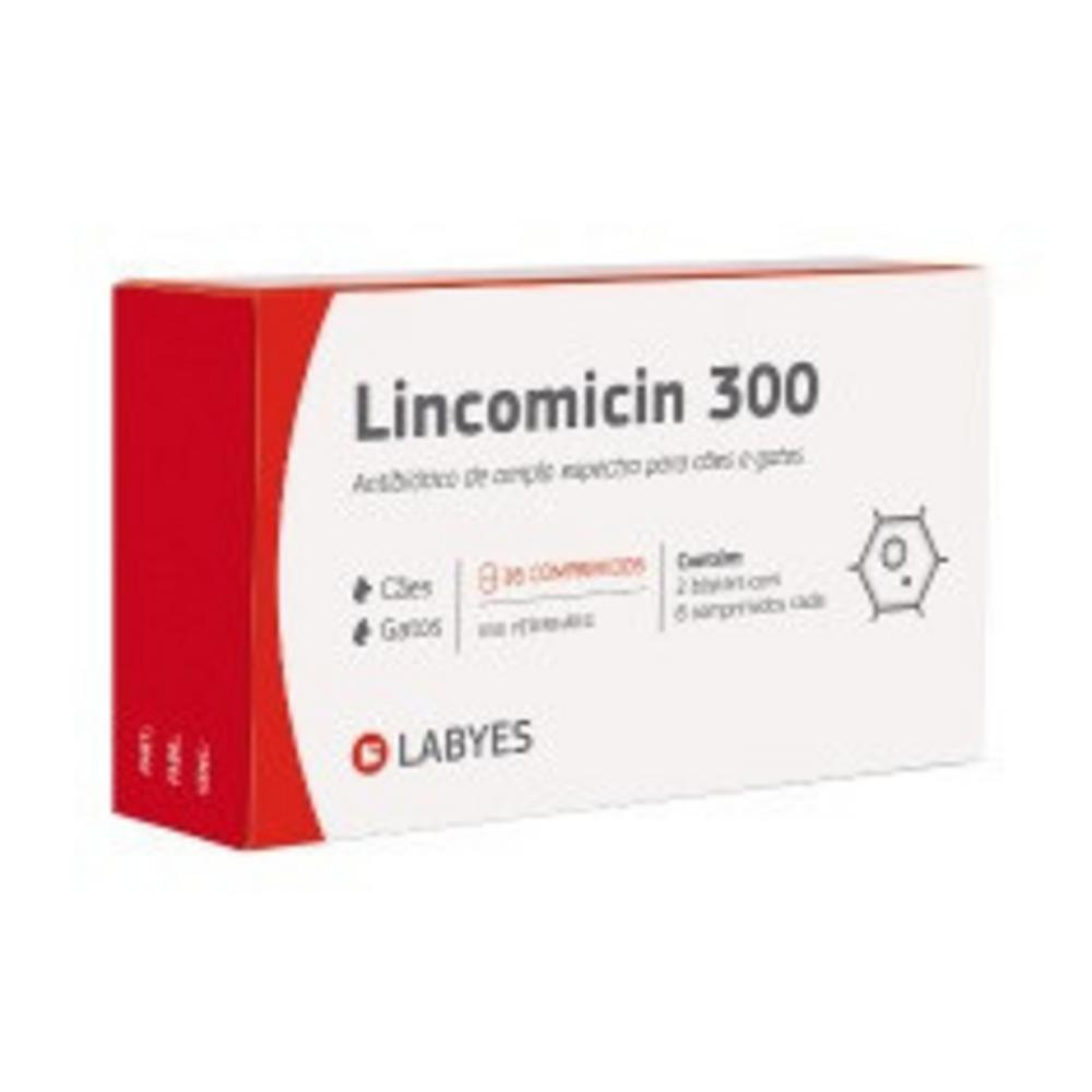 Antibiótico Labyes Lincomicin 300 - 16 Comprimidos