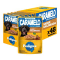 Ração Úmida Pedigree Sachê para Cães Adultos Sabor Galinhada 70g 48un