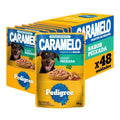 Ração Úmida Pedigree Sachê para Cães Adultos Sabor Peixada 70g 48un