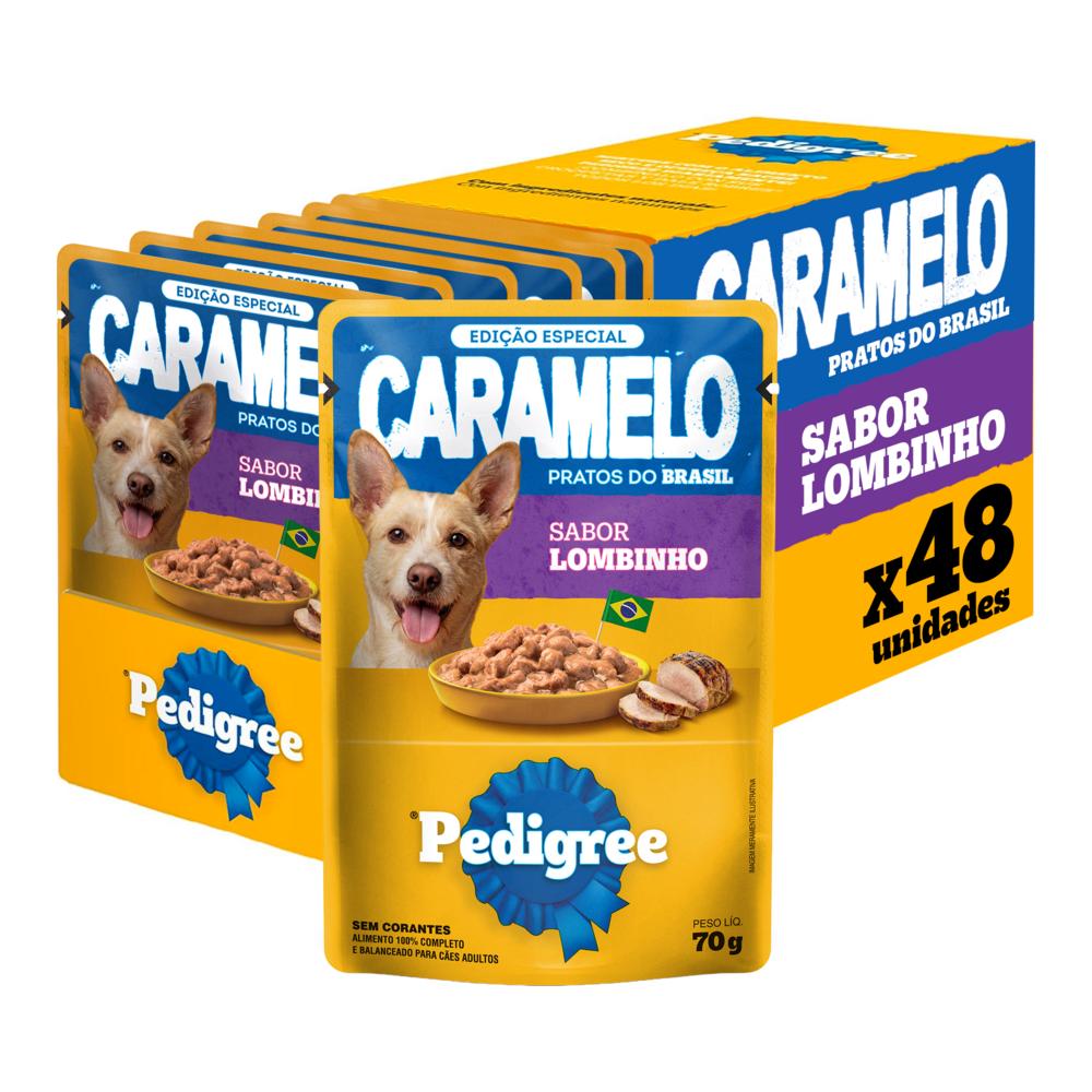 Ração Úmida Pedigree Sachê para Cães Adultos Sabor Lombinho 70g 48un