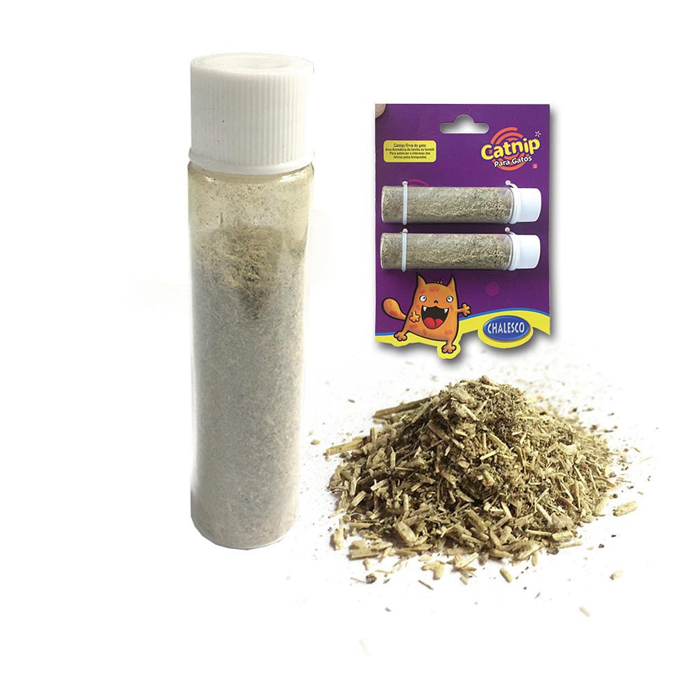 Catnip Chalesco Erva para Gatos