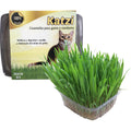 Semente para Graminha Katzi para Gatos e Roedores 90g 1un