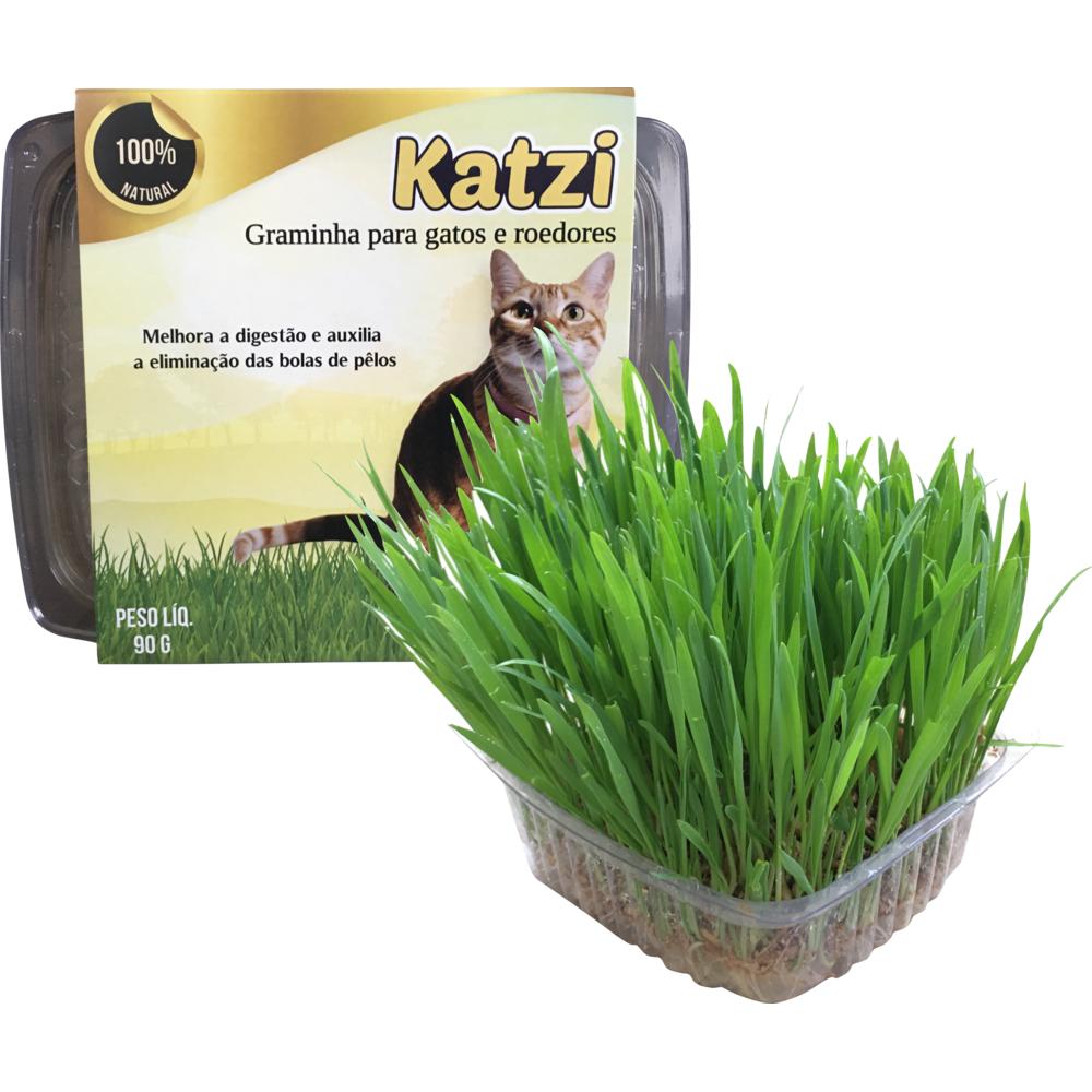 Semente para Graminha Katzi para Gatos e Roedores 90g 1un