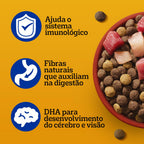 Ração Pedigree Carne Frango e Cereais Cães Filhotes 15 kg