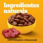 Ração Úmida Pedigree Sachê Carne ao Molho para Cães Adultos Sênior 7+ Anos 100 g