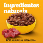 Ração Úmida Pedigree Sachê Carne ao Molho para Cães Filhotes 100 g