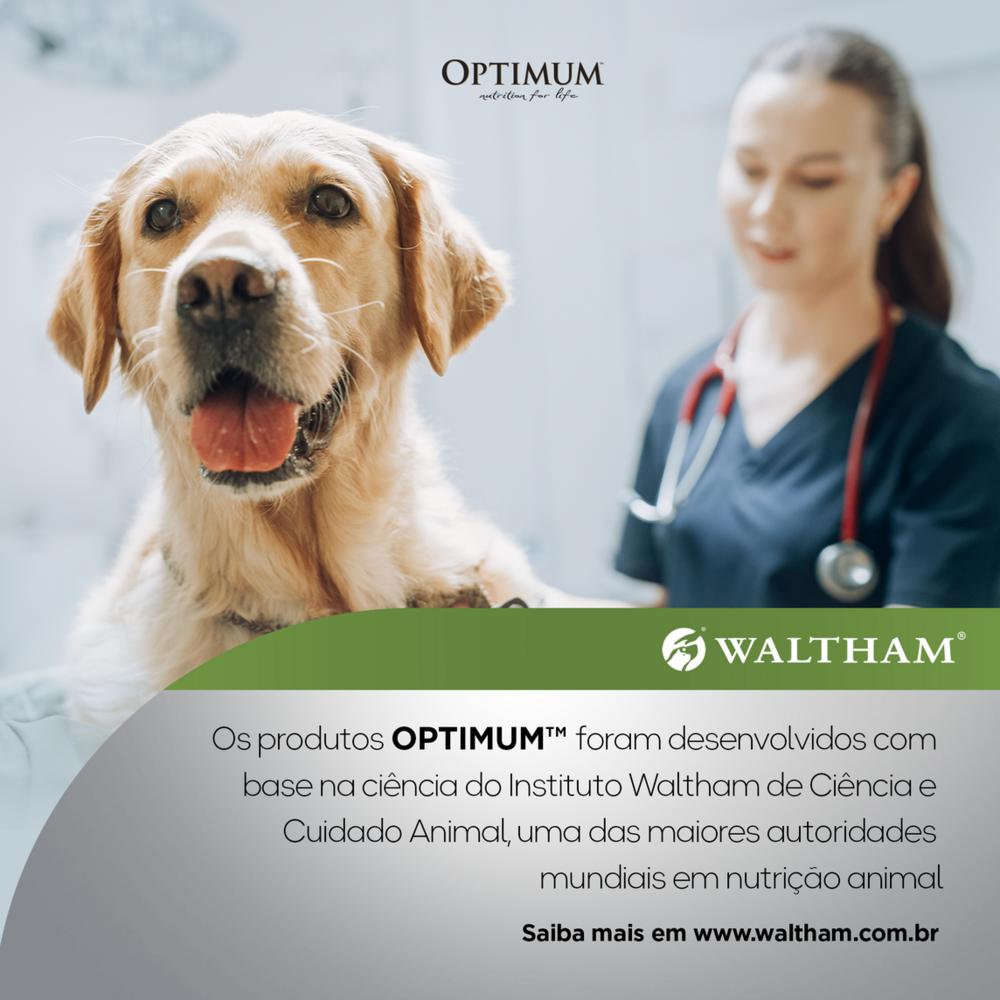 Ração Úmida Optimum Sachê para Cães Adultos Raças Pequenas e Minis Frango 100 g