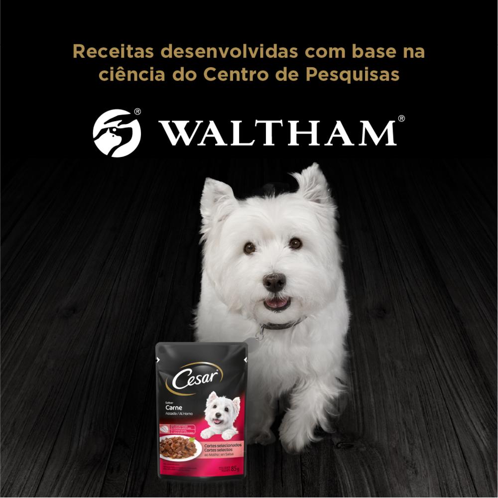 Ração Umida Cesar Carne Assada Adulto para Cães 85 g