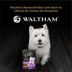 Ração Umida Cesar Filet Mignon Adulto para Cães 85 g