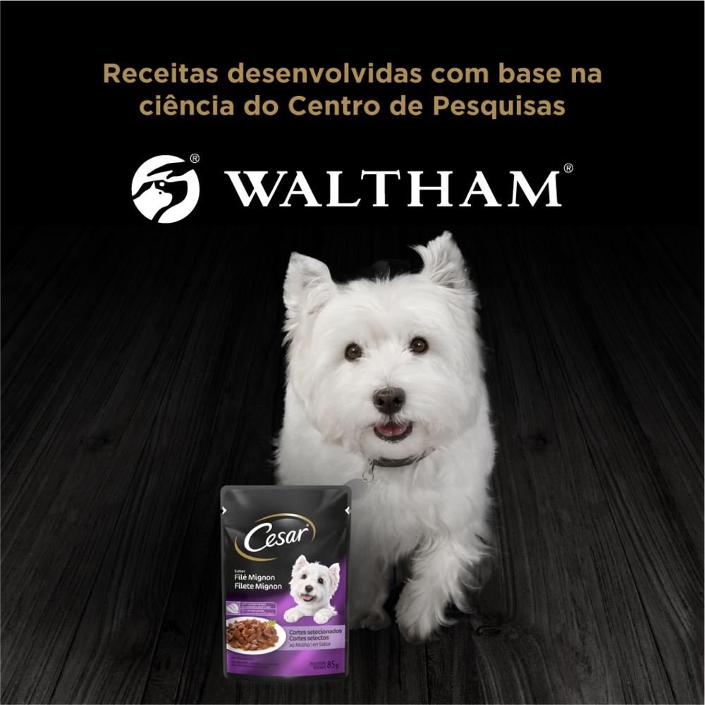 Ração Umida Cesar Filet Mignon Adulto para Cães 85 g