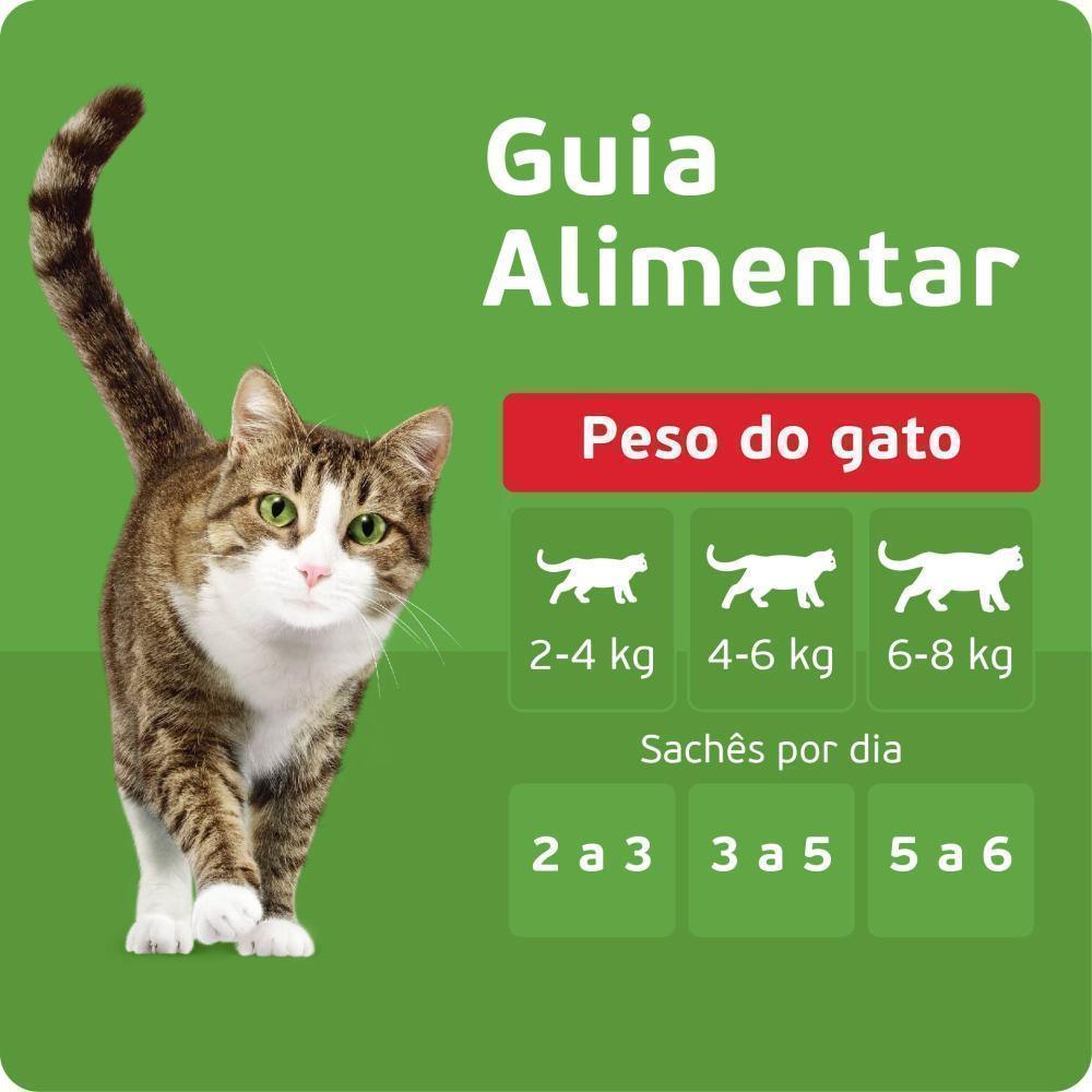 Ração Úmida Kitekat Sachê Peixe ao Molho para Gatos Adultos 70 g