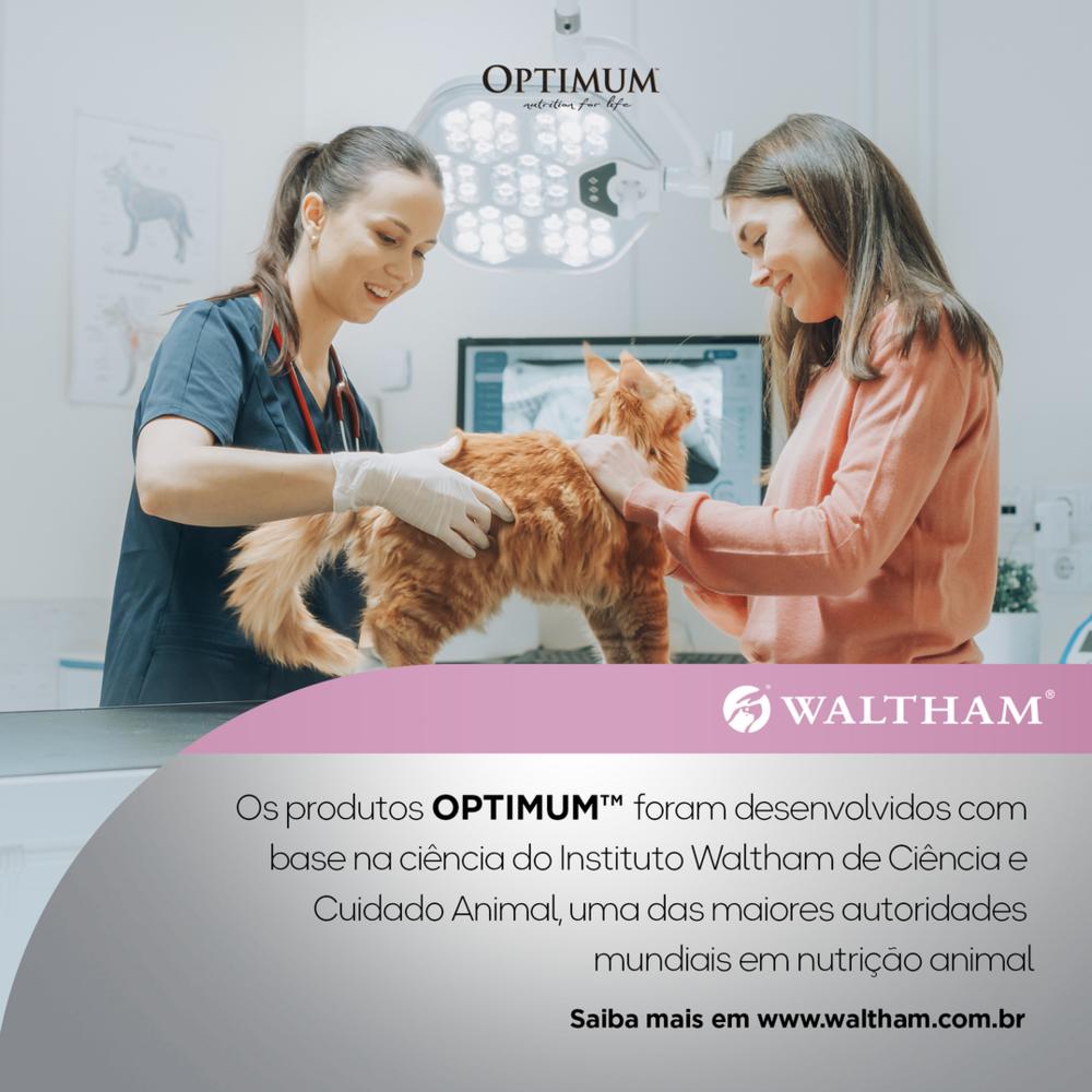 Ração Úmida Optimum Sachê para Gatos Filhotes Frango 85 g