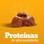 Ração Úmida Pedigree Sachê Carne ao Molho para Cães Adultos de Raças Pequenas 100 g