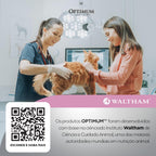 Ração Optimum para Gatos Filhotes Sabor Frango 3kg