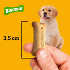 Biscoito Pedigree Biscrok Para Cães Filhotes 300 g