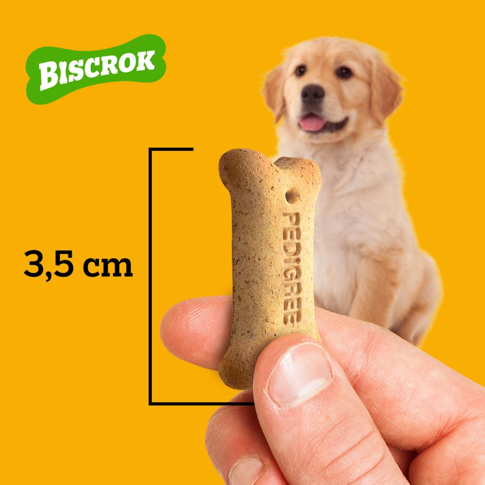 Biscoito Pedigree Biscrok Para Cães Filhotes 300 g