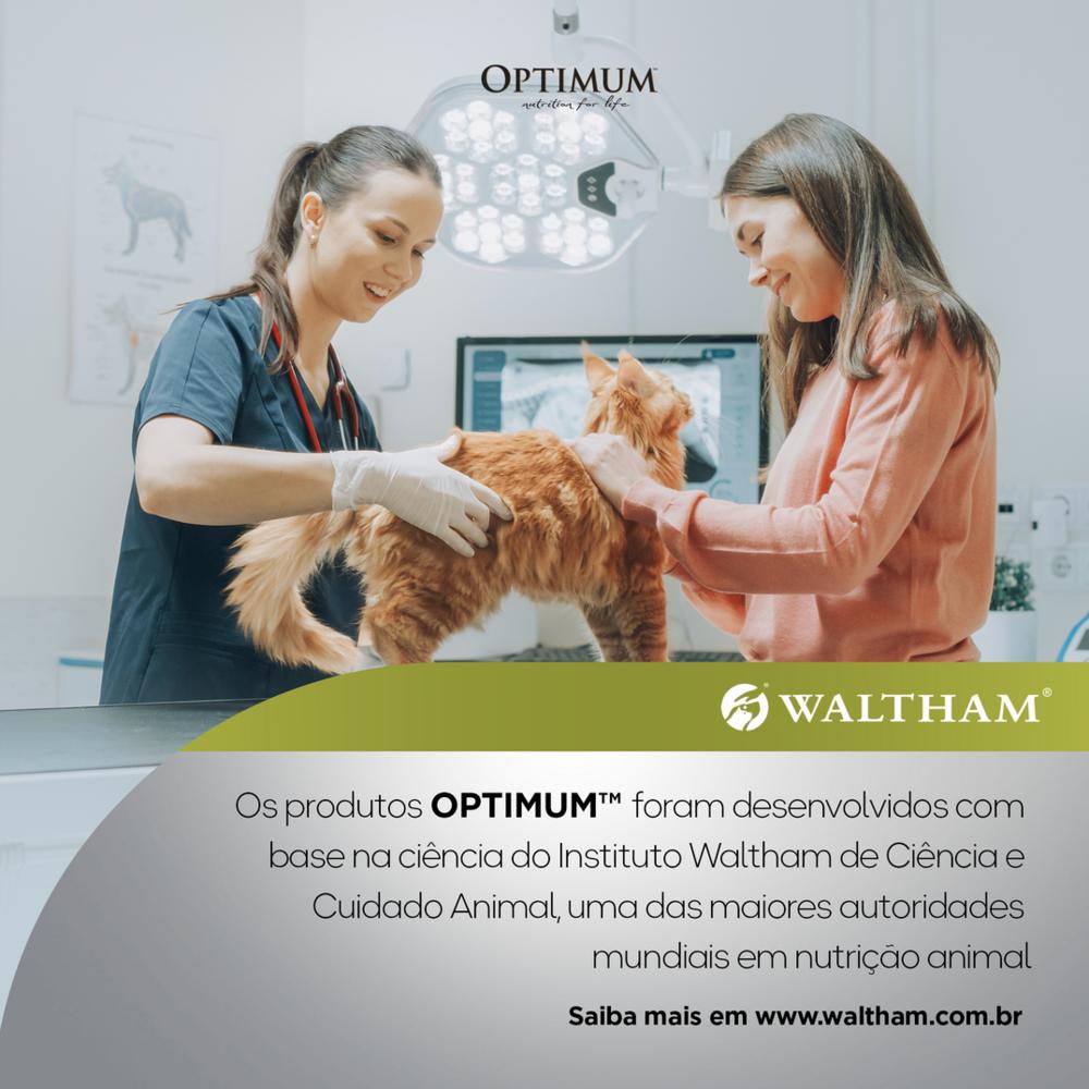 Ração Úmida Optimum Sachê para Gatos Adultos Sabor Carne 85g