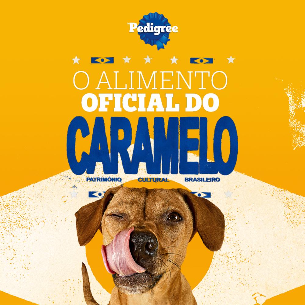 Petisco Pedigree Filezitos Bifinho Carne para Cães Adultos 60g