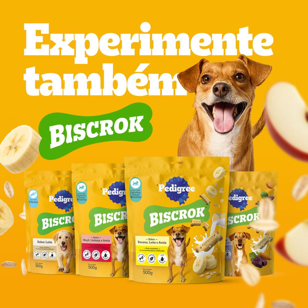 Petisco Pedigree Filezitos Bifinho Carne para Cães Adultos 60g