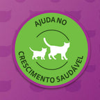 Ração Úmida Whiskas Sachê Carne ao Molho para Gatos Filhotes 85 g