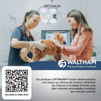 Petisco Optimum  Pele e Pelo para Gatos Adultos Sabor Salmão e Vegetais 80g