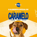 Biscoito Pedigree Biscrok Para Cães Adultos Raças Pequenas  Sabor Maça, Linhaça e Aveia 500g