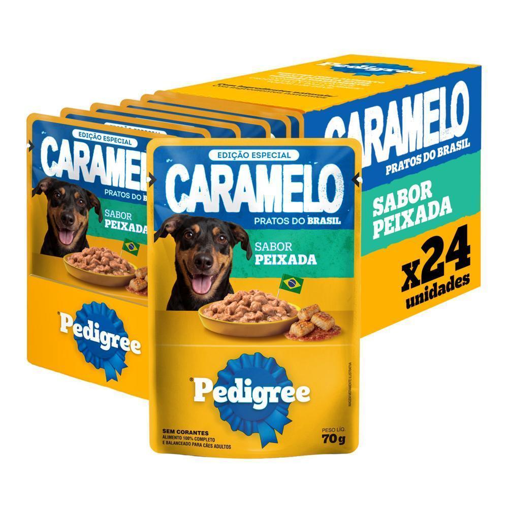 Ração Úmida Pedigree Sachê para Cães Adultos Sabor Peixada 70g 24un