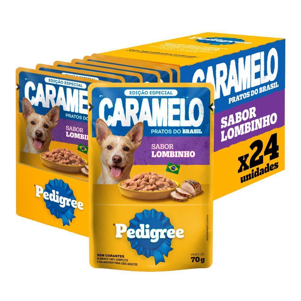 Ração Úmida Pedigree Sachê para Cães Adultos Sabor Lombinho 70g 24un