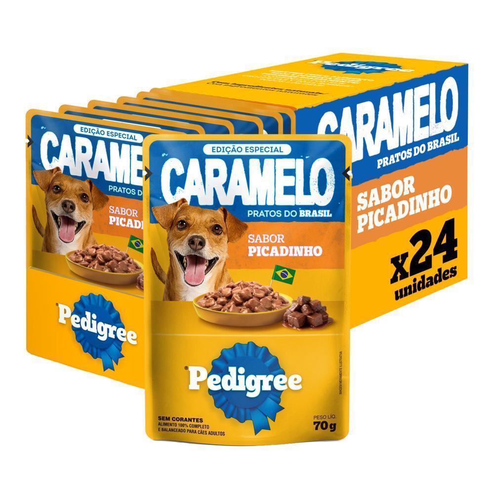 Ração Úmida Pedigree Sachê para Cães Adultos Sabor Picadinho 70g 24un