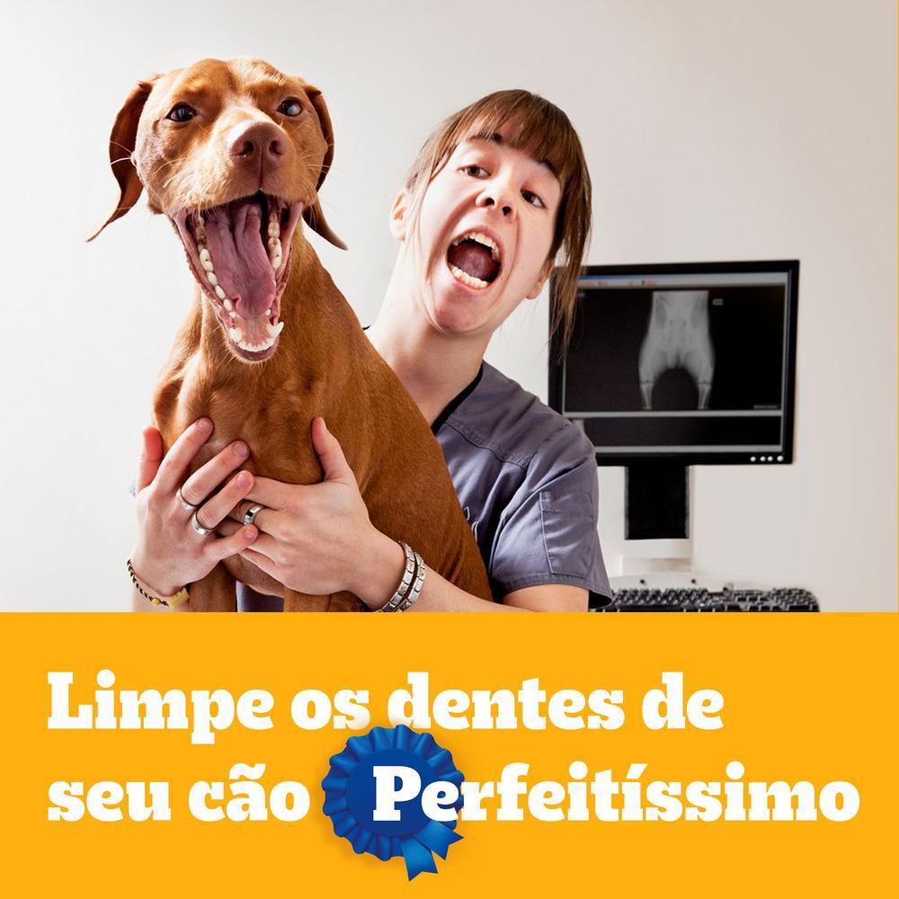 Petisco Pedigree Dentastix Cuidado Oral Para Cães Adultos Raças Médias 7 Unidades