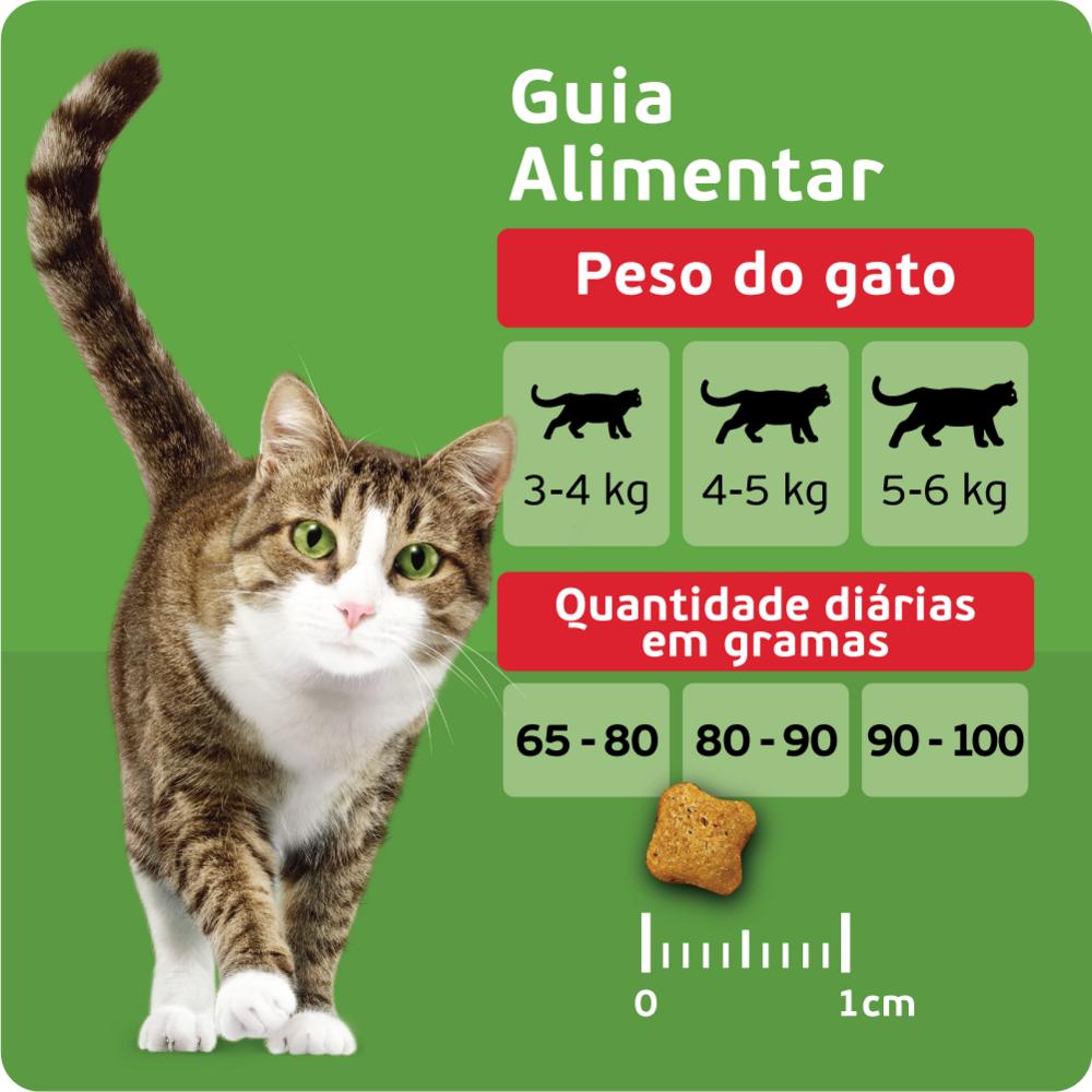 Ração KiteKat Mix de Carnes Para Gatos Adultos 900g