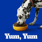 Ração Pedigree Carne Frango e Cereais Cães Adultos Raças Médias e Grandes 10,1 kg