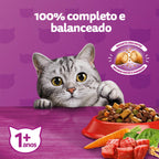 Ração Whiskas Carne Gatos Adultos 10,1 kg