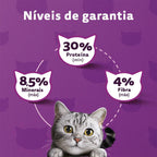 Ração Whiskas Carne Gatos Adultos 10,1 kg