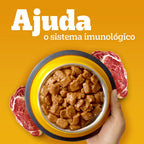Ração Úmida Pedigree Sachê High Protein Cães Adultos Carne e Frango 85 g