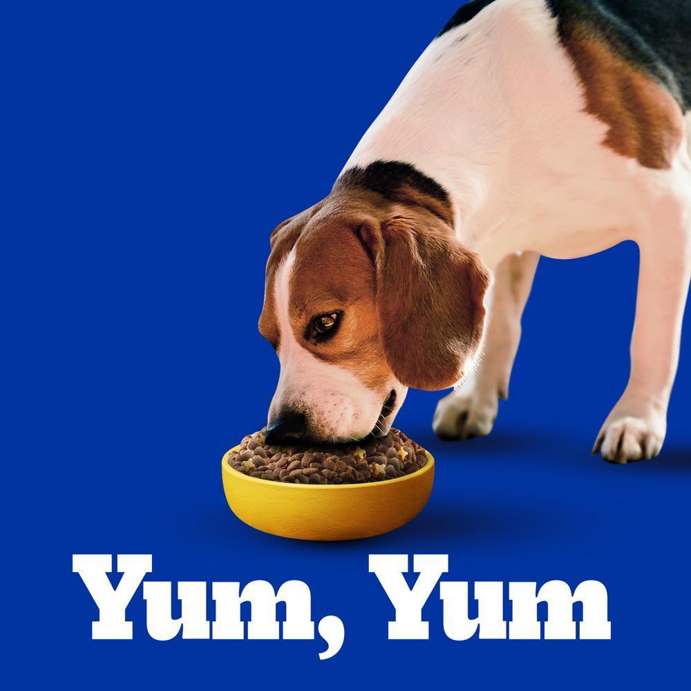 Ração Pedigree Carne e Vegetais Cães Adultos Raças Pequenas e Minis 900 g