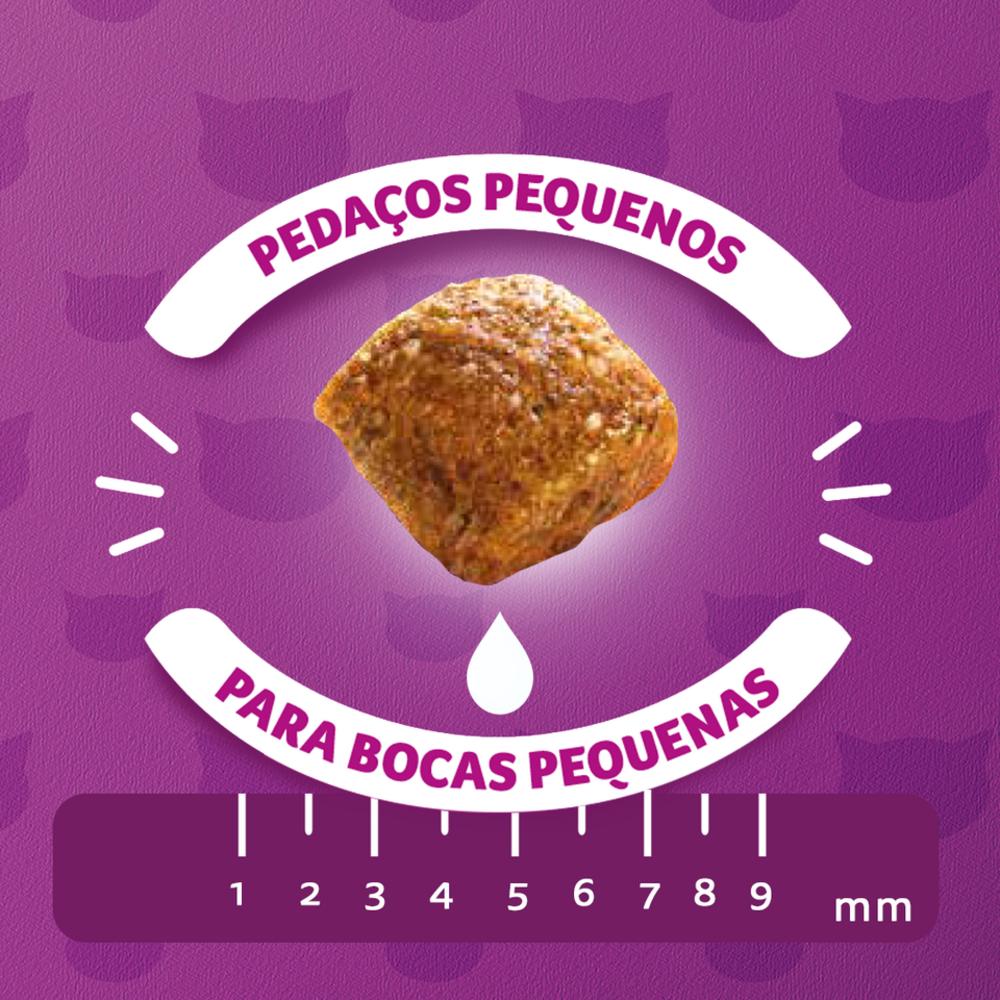 Ração Whiskas Carne e Leite Gatos Filhotes 900 g