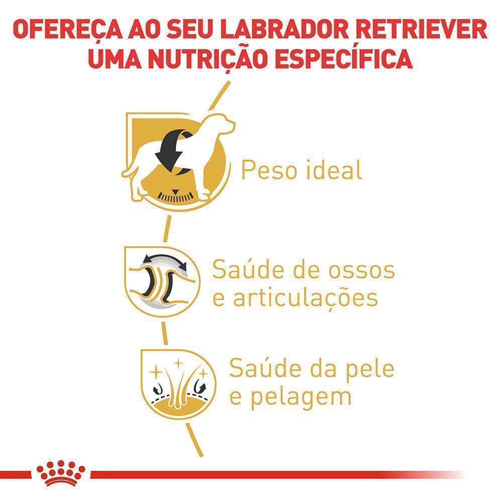 Ração Royal Canin para Cães Adultos da Raça Labrador Retriever 12 kg