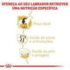 Ração Royal Canin para Cães Adultos da Raça Labrador Retriever 12 kg