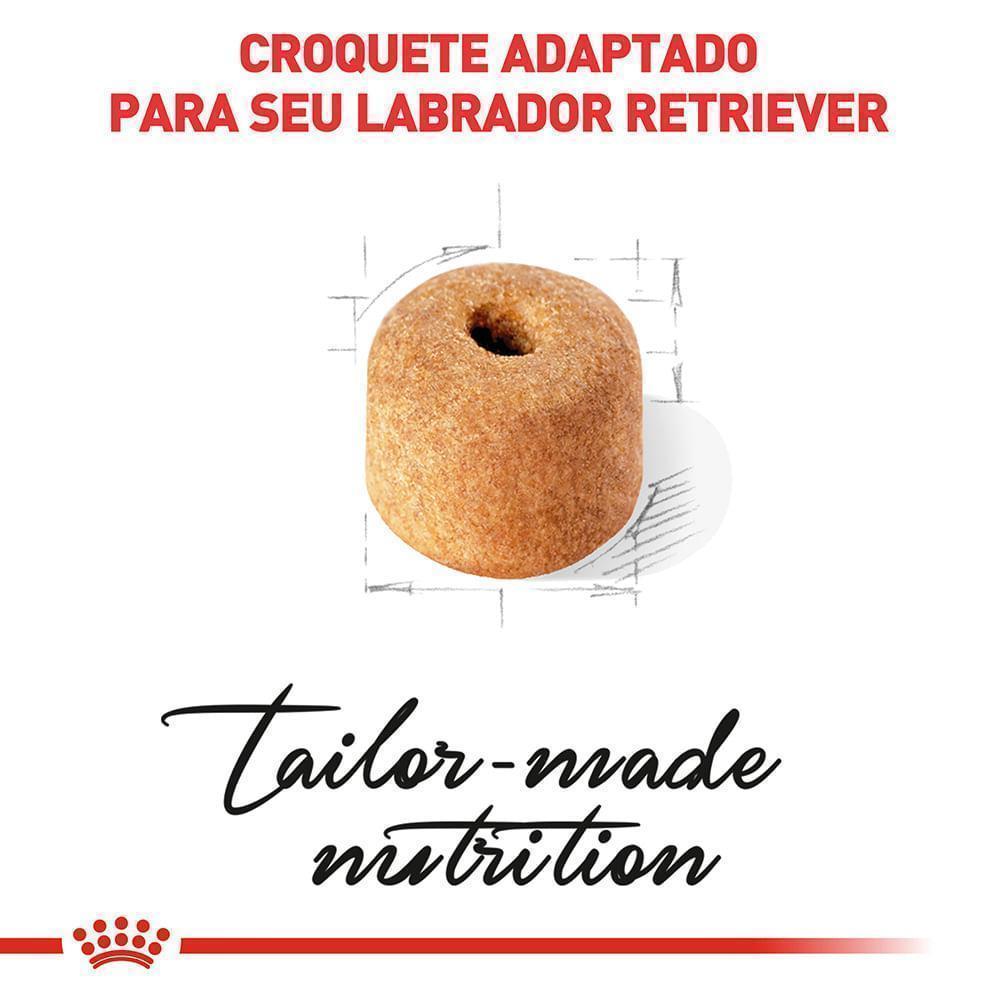 Ração Royal Canin para Cães Adultos da Raça Labrador Retriever 12 kg