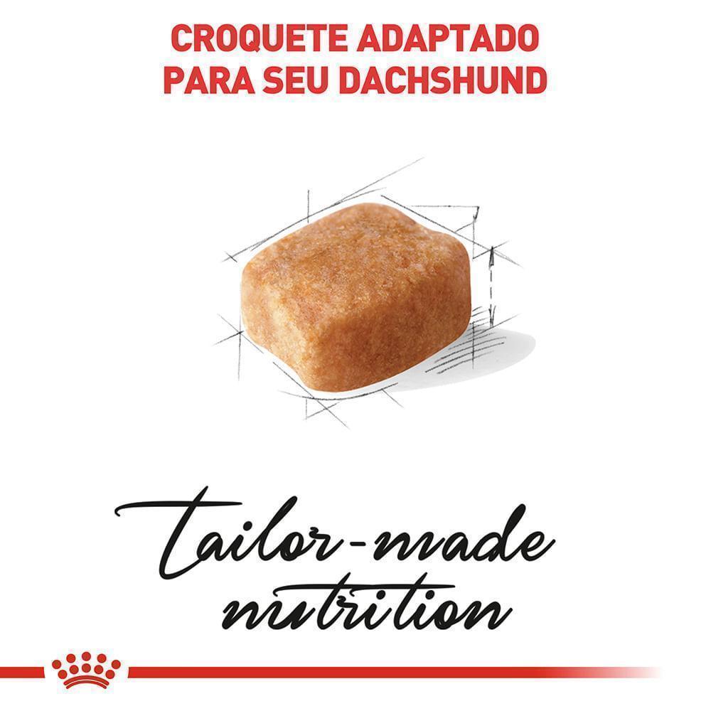 Ração Seca Royal Canin para Cães Adultos da Raça Dachshund - 1 Kg