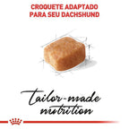 Ração Seca Royal Canin para Cães Adultos da Raça Dachshund - 1 Kg