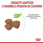 Ração Seca Royal Canin Mini Indoor para Cães Filhotes Porte Pequeno - 1 Kg