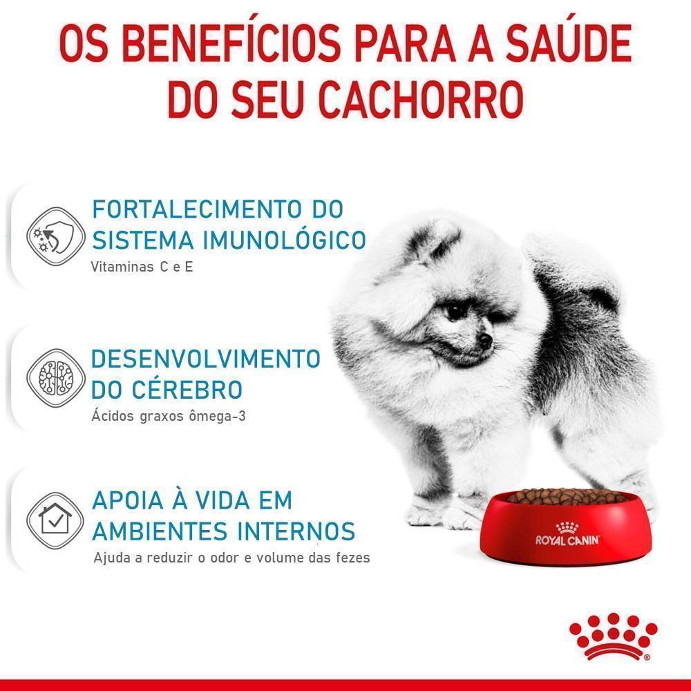 Ração Seca Royal Canin Mini Indoor para Cães Filhotes Porte Pequeno - 7,5 Kg