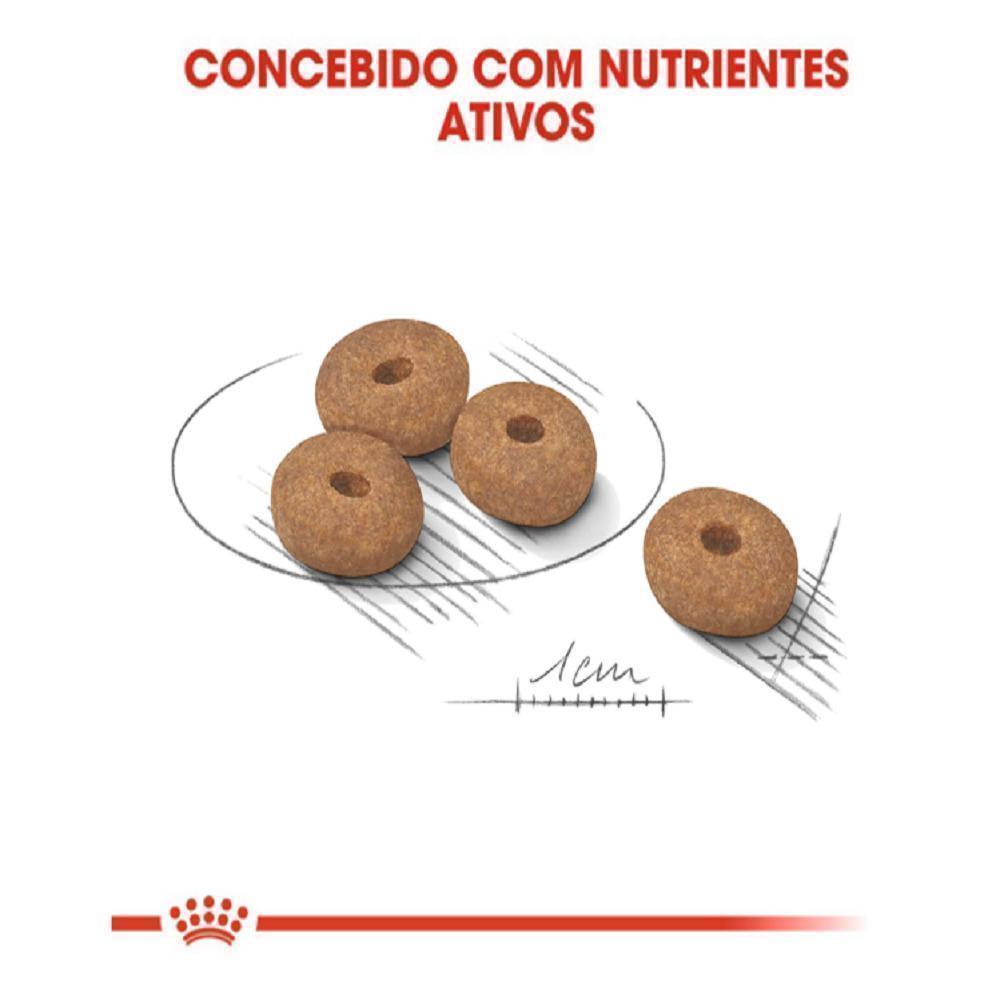 Ração Seca Royal Canin Mini Light para Cães Adultos de Porte Pequeno com Tendência à Obesidade - 7,5 Kg