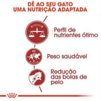 Ração Seca Royal Canin Fit para Gatos adultos - 7,5 Kg