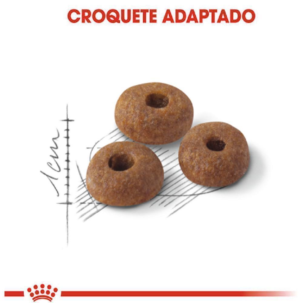 Ração Seca Royal Canin Fit para Gatos adultos - 7,5 Kg