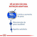 Ração Seca Royal Canin Maxi Light para Cães Adultos ou Idosos de Porte Grande com Tendência à Obesidade - 15 Kg