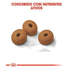 Ração Seca Royal Canin Maxi Light para Cães Adultos ou Idosos de Porte Grande com Tendência à Obesidade - 15 Kg