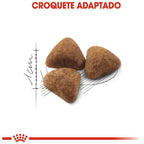 Ração Seca Royal Canin Indoor para Gatos Adultos - 400 g